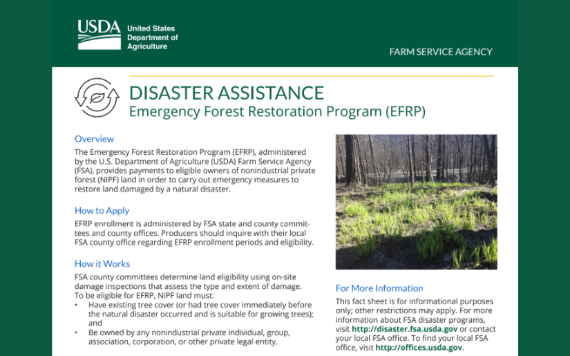 DISASTER ASSISTANCE: Emergency Forest Restoration Program (EFRP)